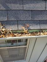 Clean Pro Gutter Cleaning York image 3
